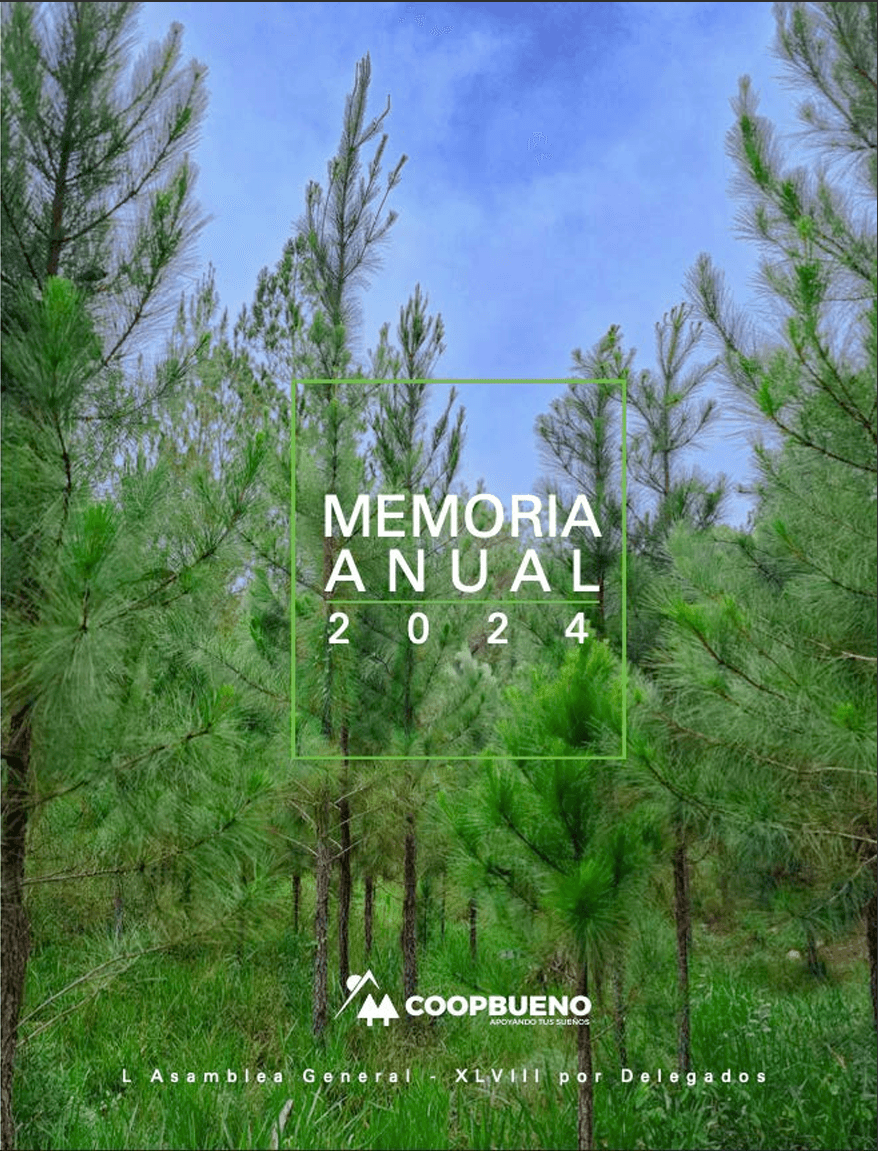 Memoria Anual 2024
