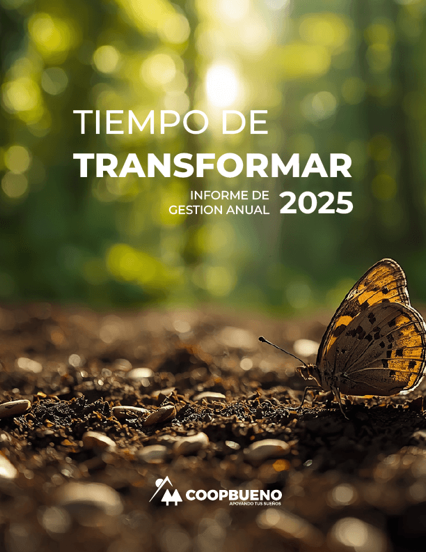 Memoria Anual 2025