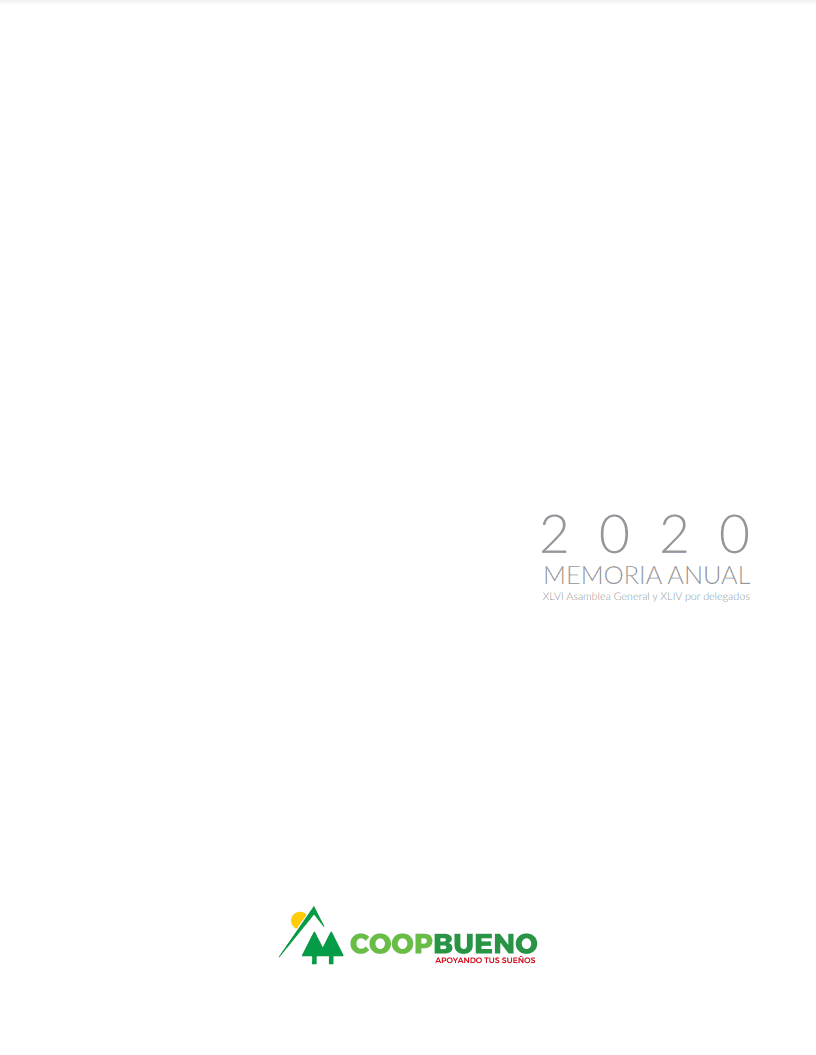 Memoria Anual 2020