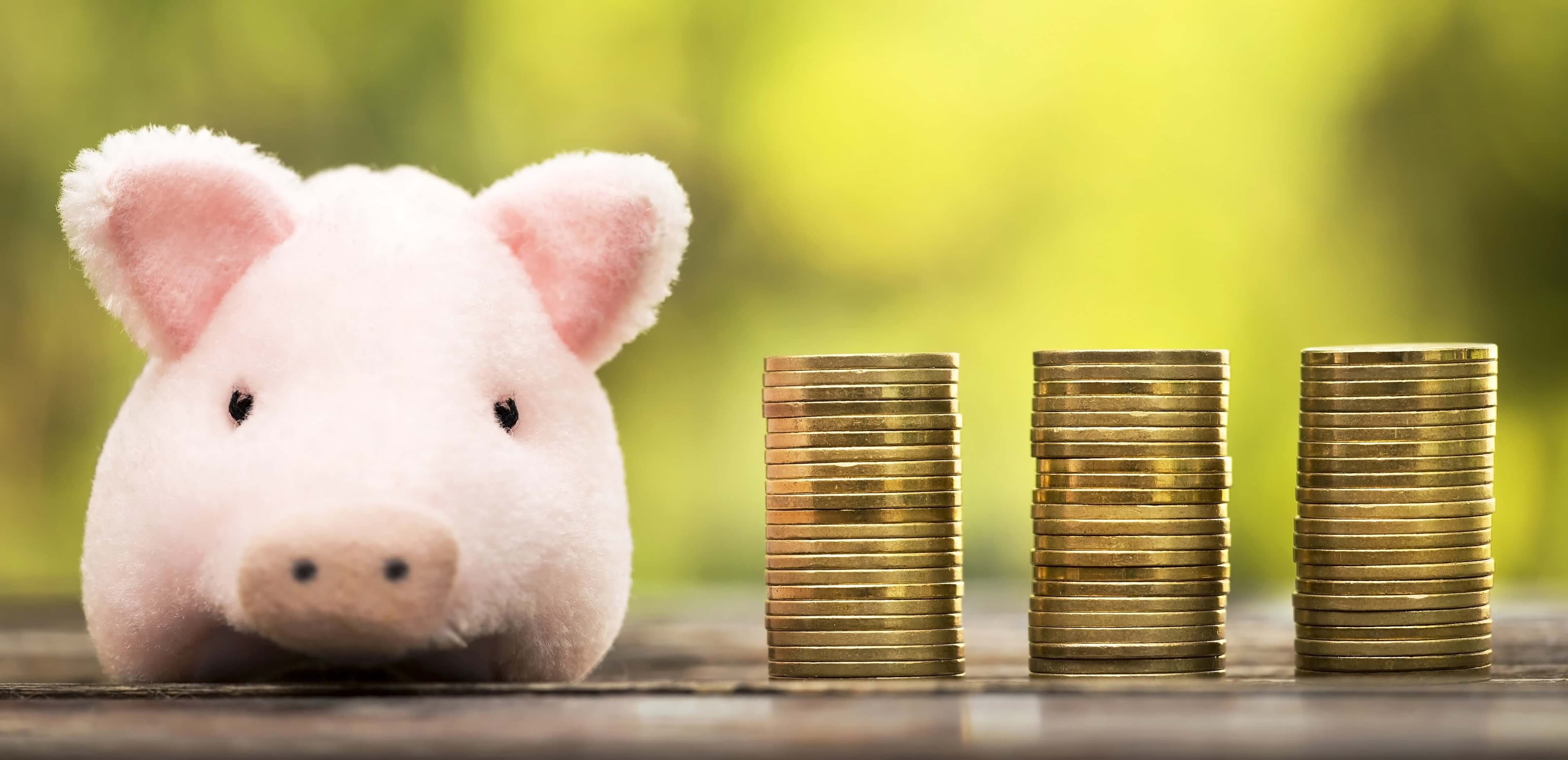 money_savings_banner_P23_KY_5_J_min_1_1_ac0c1b3192.jpg